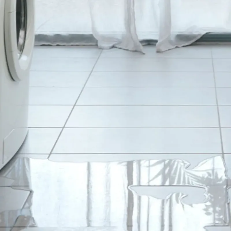 Appliance Leak Cleanup in Greenwood, WI
