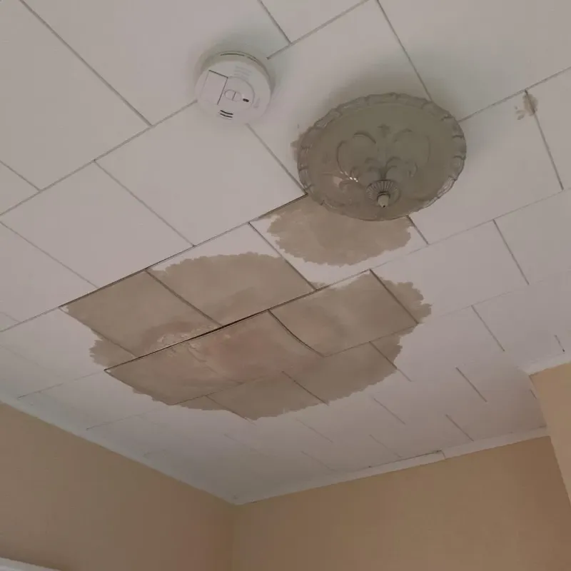 Ceiling Water Damage Repair in Greenwood, WI
