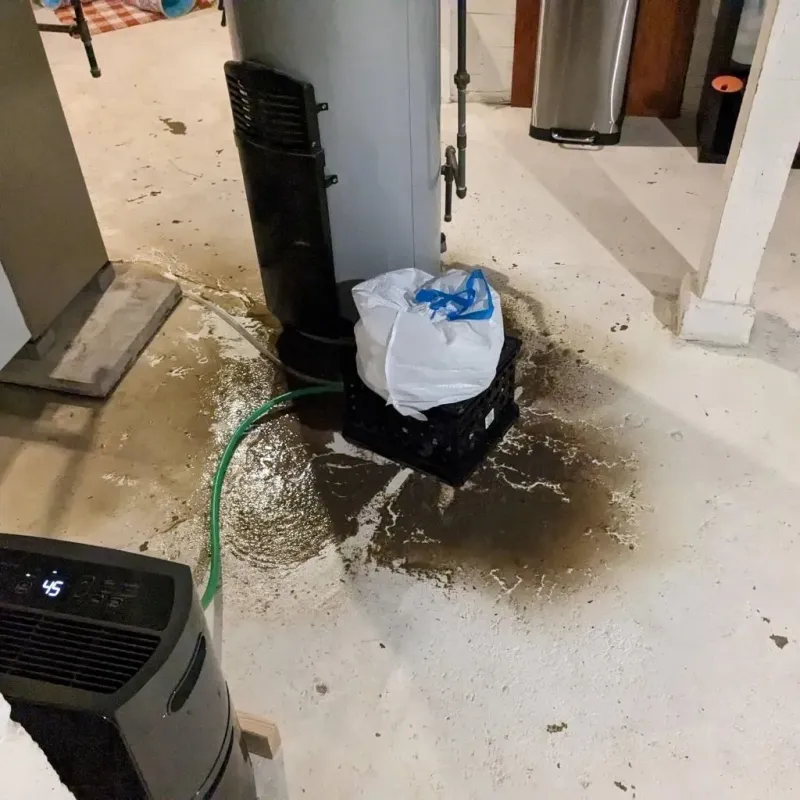 Sewage Backup Cleanup Service in Greenwood, WI